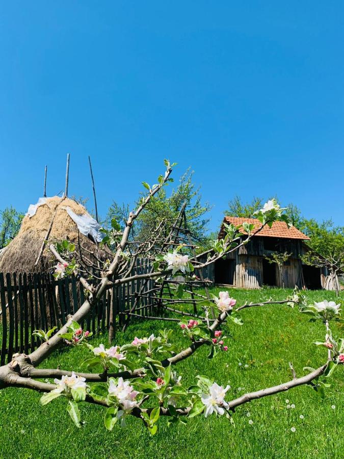 Hotel The Story Garden Corbi Zewnętrze zdjęcie